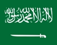 dema Group Websitesi arapça dili göstergesi arabistan Bayrağı